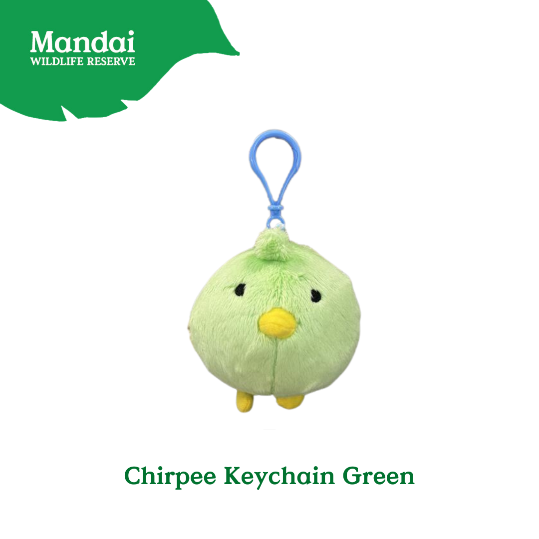 Chirp Into Style The ChirpiChirp Plush Keychain Collection at Bird Paradise MANDAI WILDLIFE RESERVE