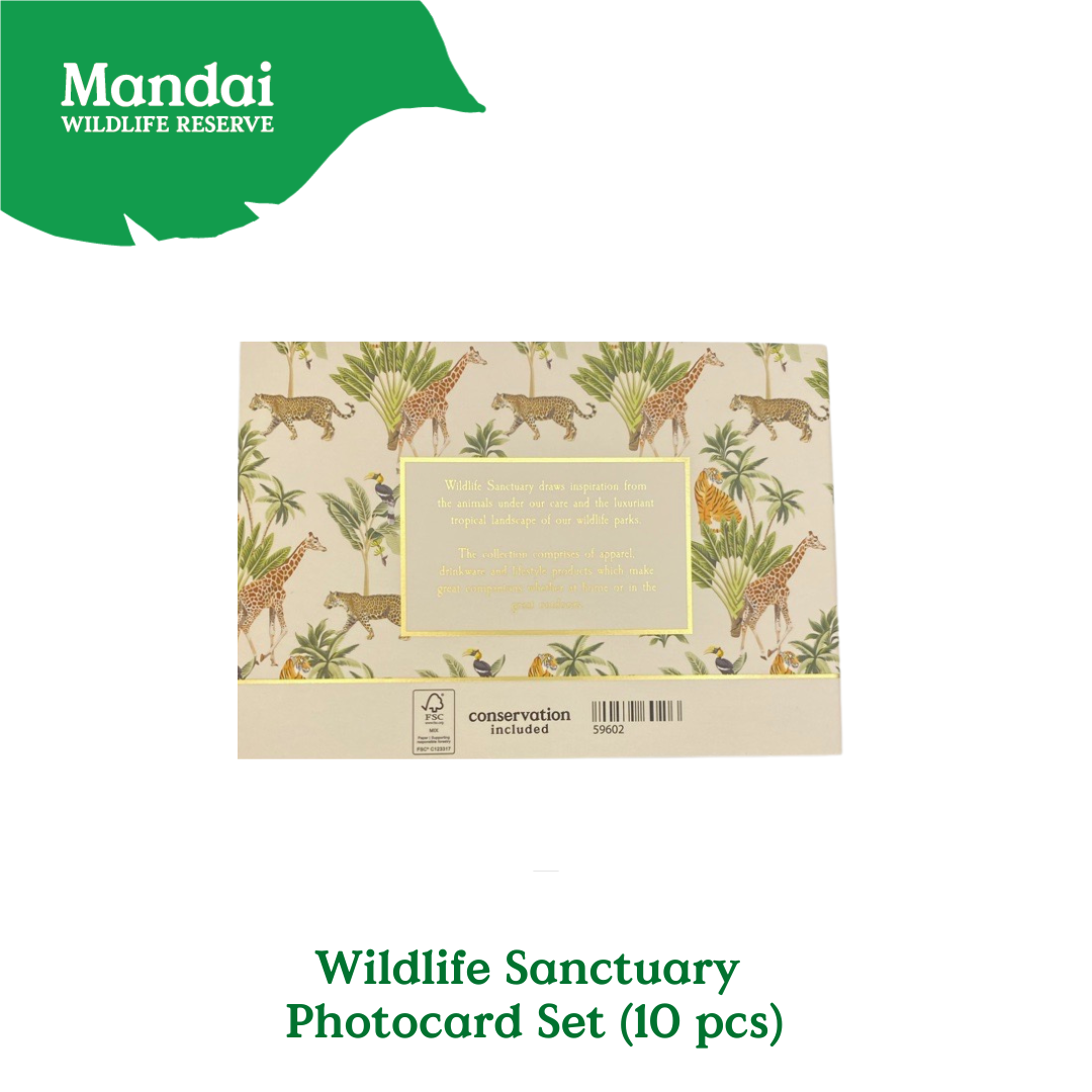 Exclusive Wildlife Sensually Postcard Set MANDAI WILDLIFE RESERVE
