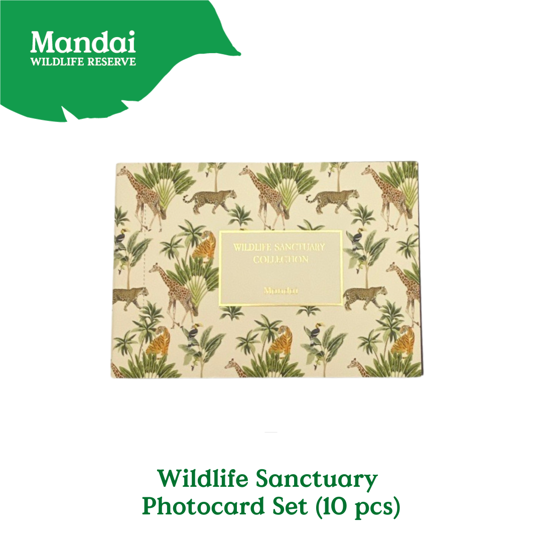 Exclusive Wildlife Sensually Postcard Set MANDAI WILDLIFE RESERVE