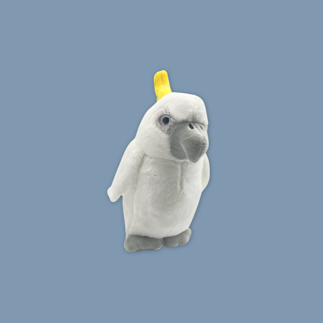 Hornbill Cockatoo Toucan Beanie Plush Keychain Exclusive to MANDAI WILDLIFE RESERVE