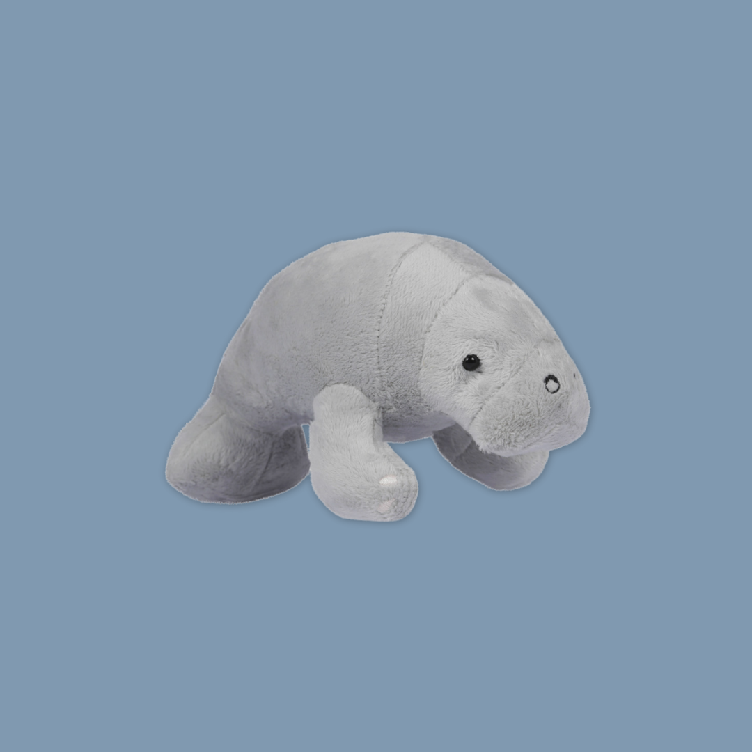 Canola Manatee Keychain Plush Pillow Stuffed with Realistic Details Cute from MANDAI WILDLIFE RESERVE