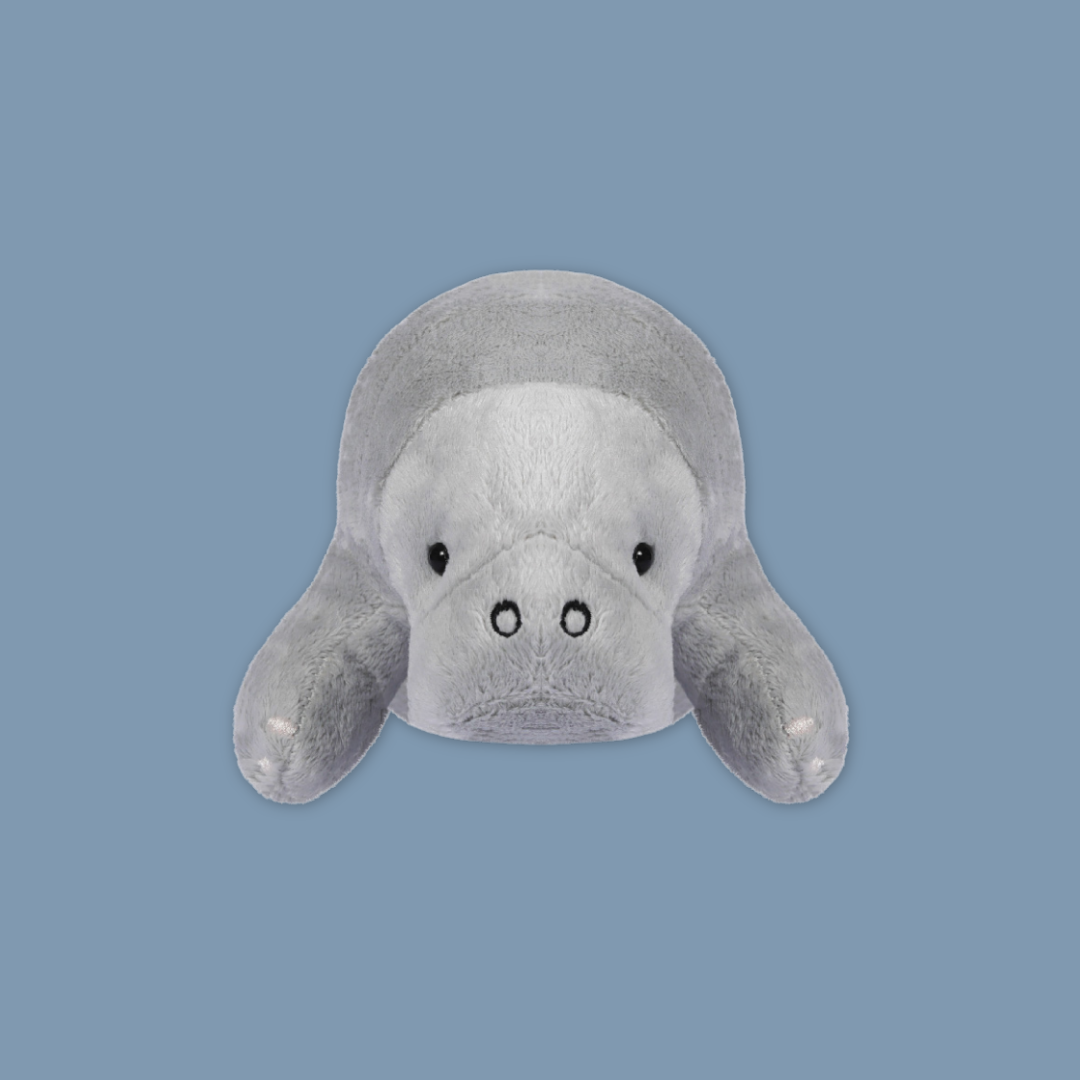 Canola Manatee Keychain Plush Pillow Stuffed with Realistic Details Cute from MANDAI WILDLIFE RESERVE