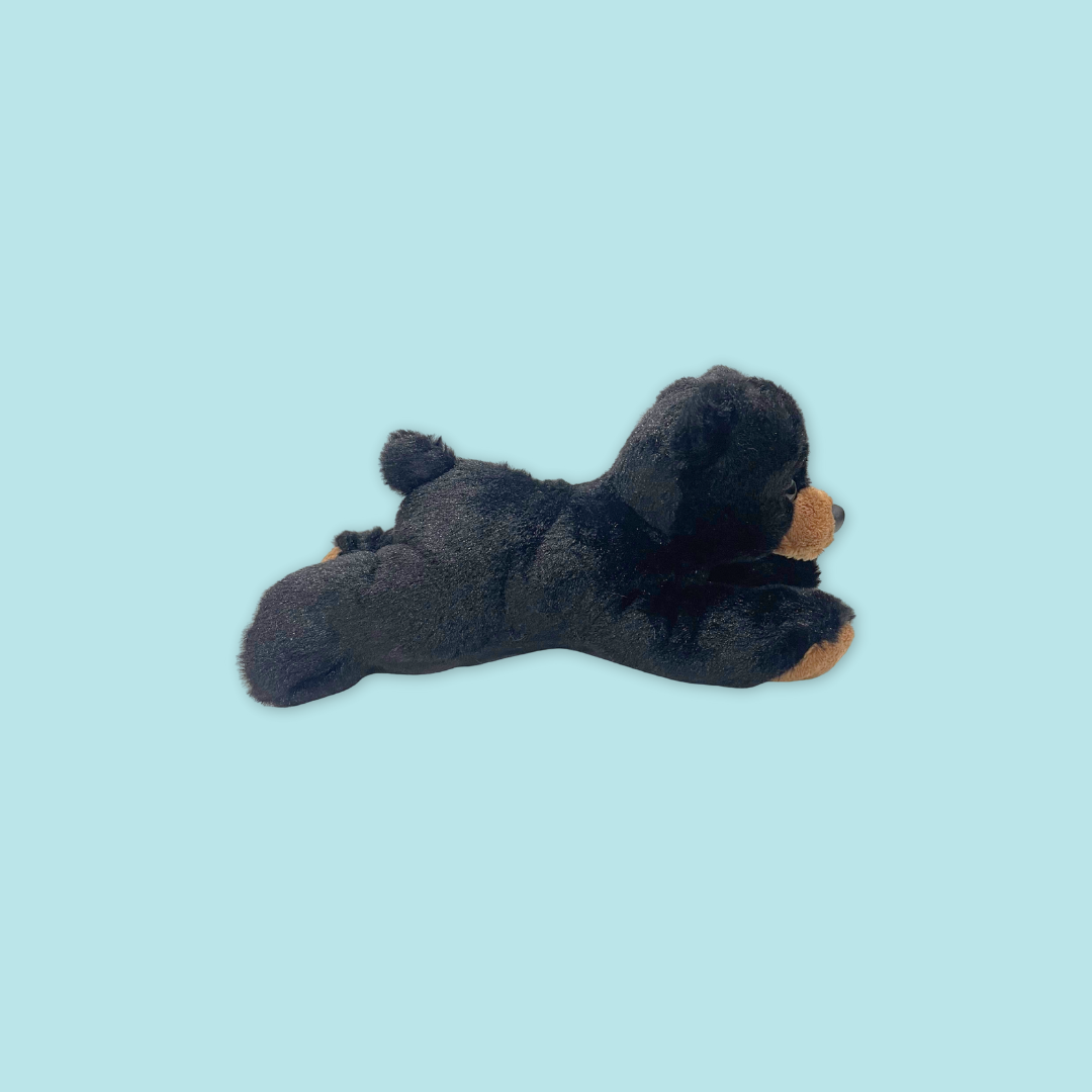 Exclusive Mandai Sunbear Plush with MANDAI WILDLIFE RESERVE