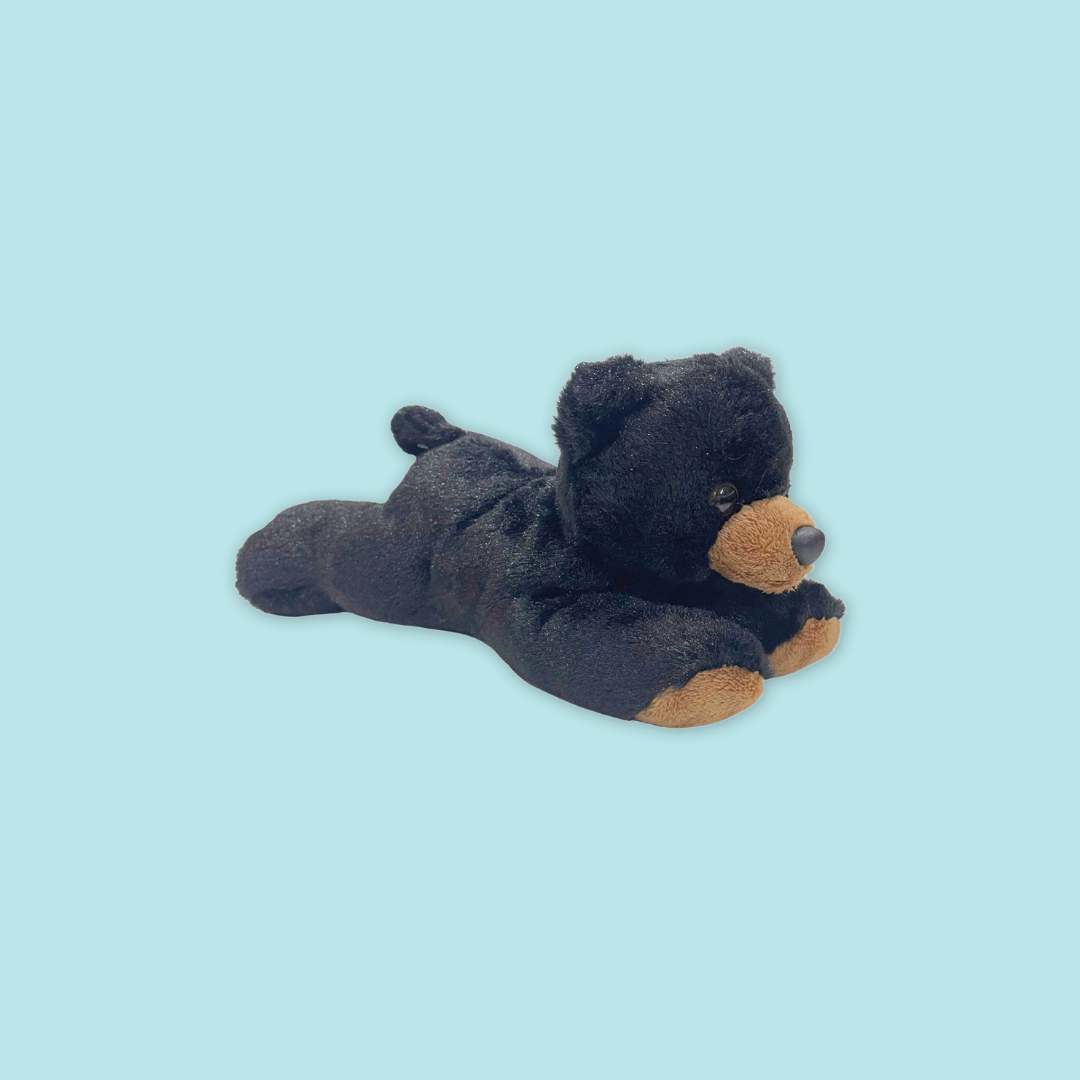 Exclusive Mandai Sunbear Plush with MANDAI WILDLIFE RESERVE