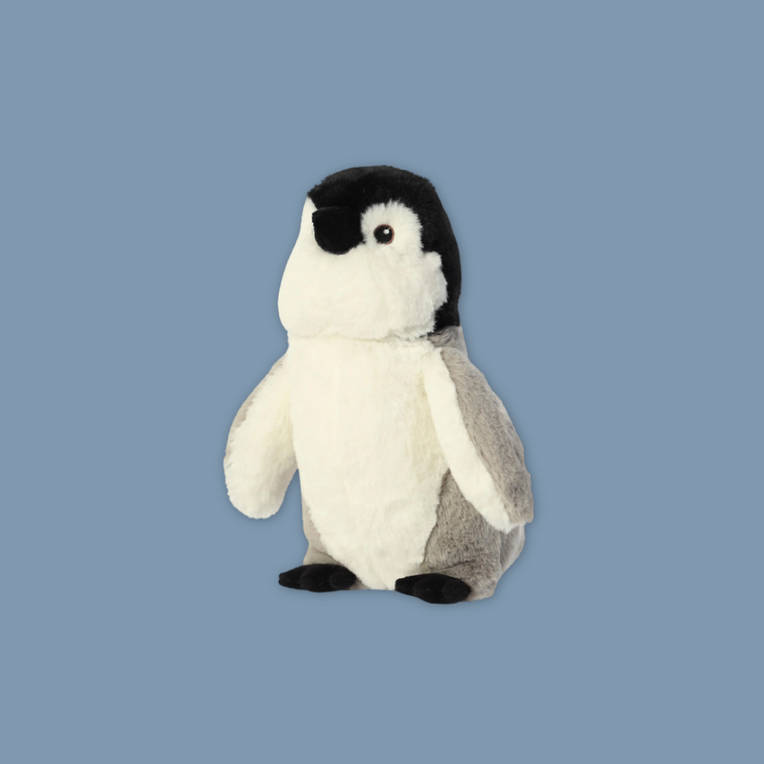 Penguins at Bird Paradise: Explore the world of King Penguins - MANDAI WILDLIFE RESERVE