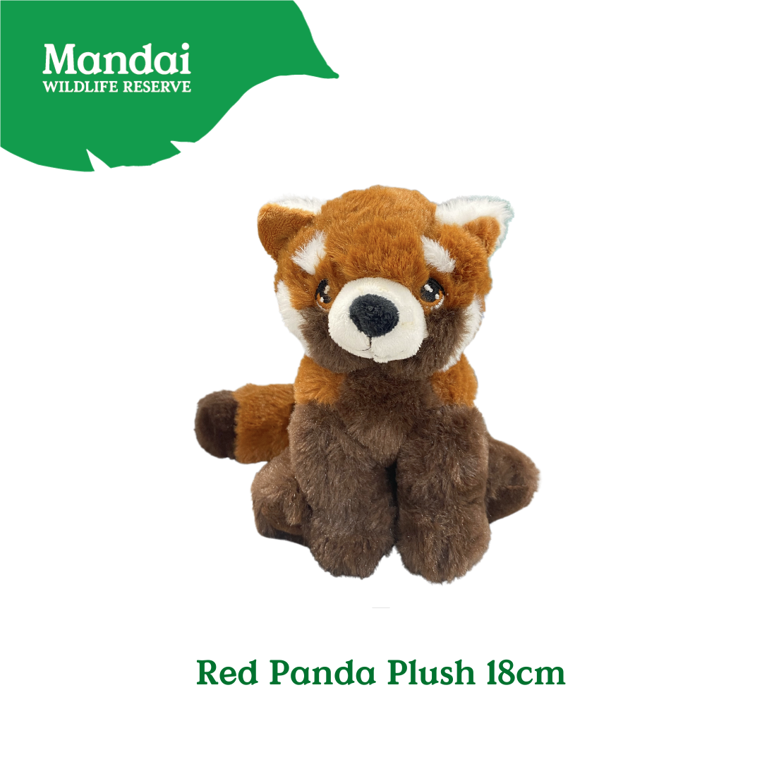 Panda Red Panda Plush Toy Stuffed Animal with Realistic Details Good Sleeping Buddy MANDAI WILDLIFE RESERVE