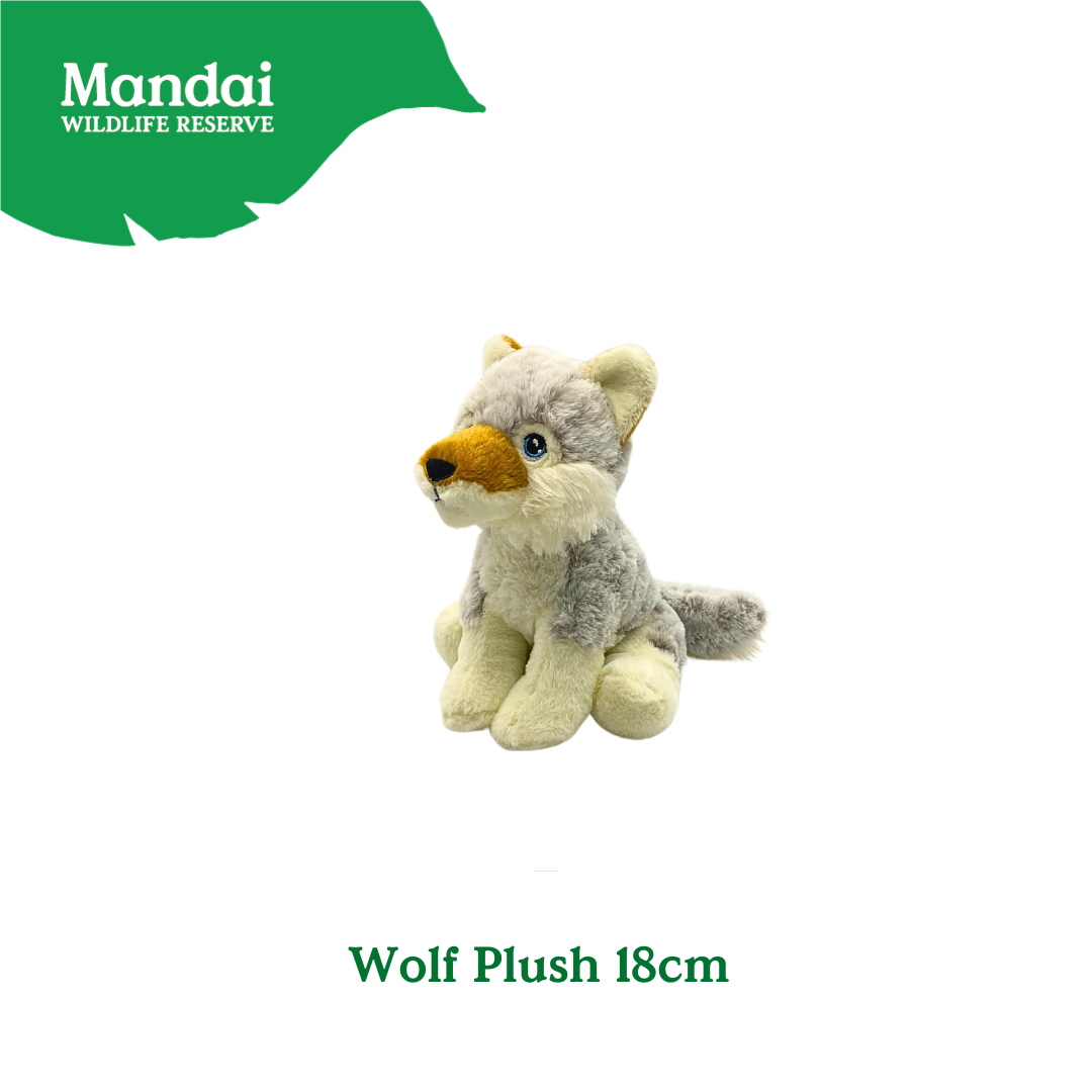 Discover the Wolf Plushie at MANDAI WILDLIFE RESERVE