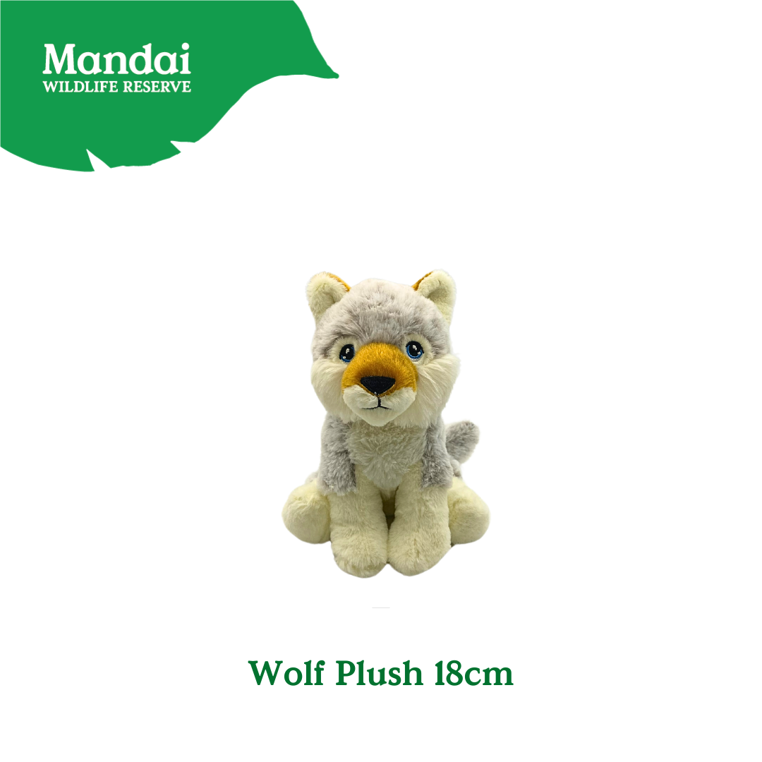 Discover the Wolf Plushie at MANDAI WILDLIFE RESERVE