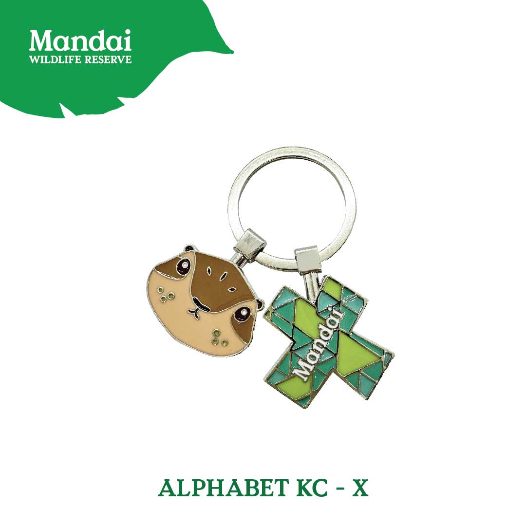 Alphabet Animal Keychain Penguin Bear Cheetah Dog Fennic Fox Giraffe Hipo Ibex Jaguar Charm MANDAI WILDLIFE RESERVE