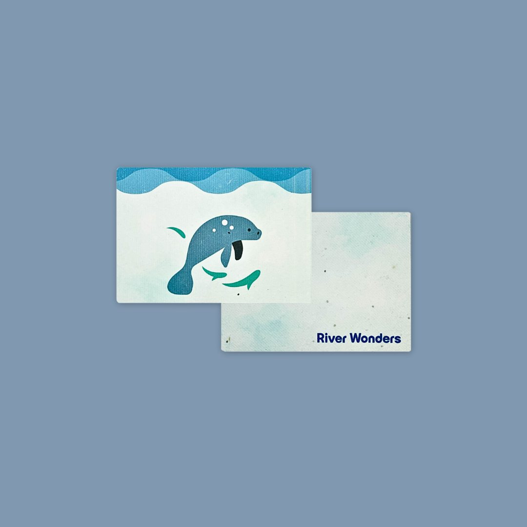 Mandai Park Logo Collection Plantable Card With Envelope Singapore Zoo Night Safari River Wonder MANDAI WILDLIFE RESERVE