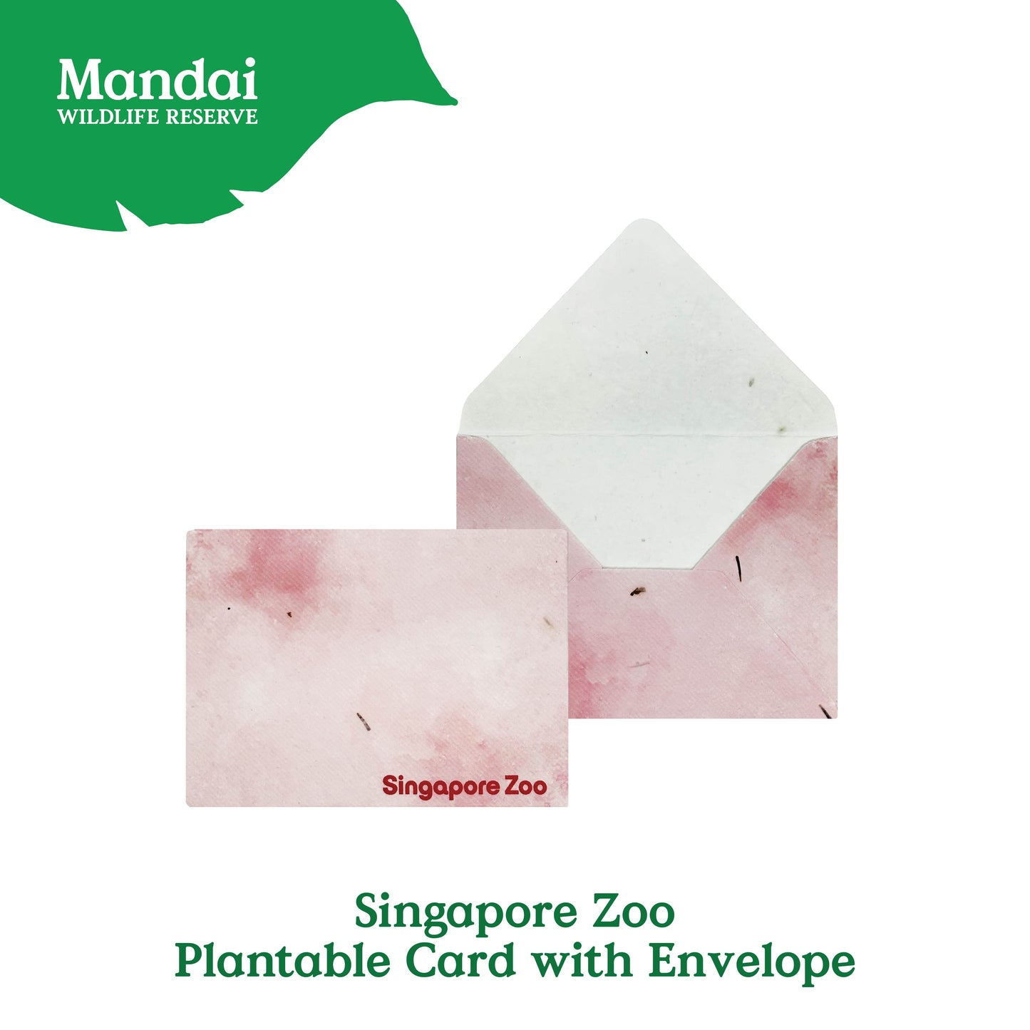 Mandai Park Logo Collection Plantable Card With Envelope Singapore Zoo Night Safari River Wonder MANDAI WILDLIFE RESERVE