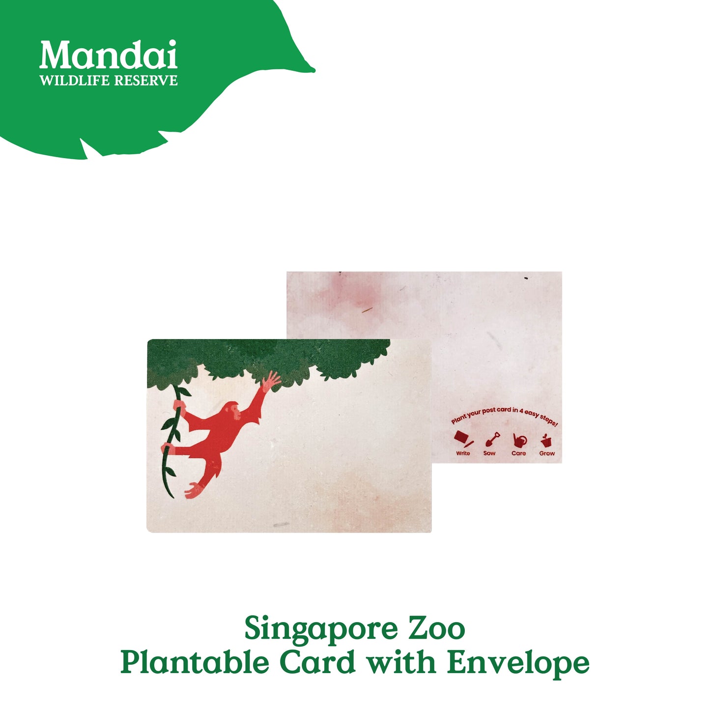 Mandai Park Logo Collection Plantable Card With Envelope Singapore Zoo Night Safari River Wonder MANDAI WILDLIFE RESERVE