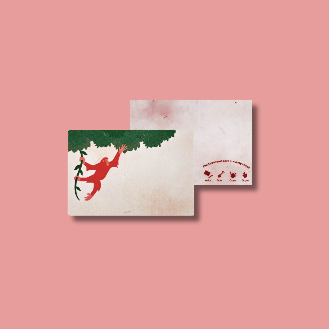 Mandai Park Logo Collection Plantable Card With Envelope Singapore Zoo Night Safari River Wonder MANDAI WILDLIFE RESERVE