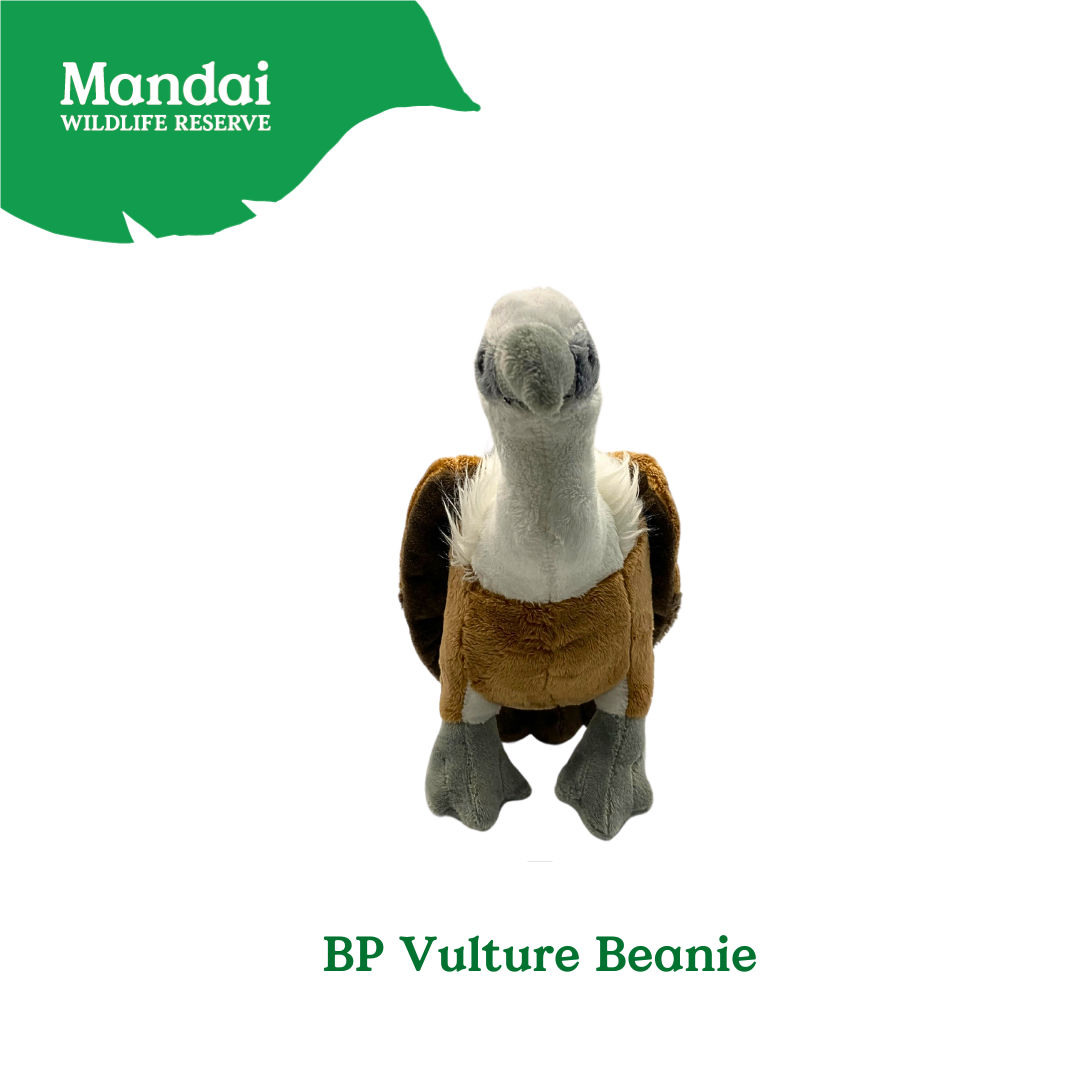 Explore Iconic Bird Plushies at MANDAI WILDLIFE RESERVE – Fun, Educational, and Conservation-Inspired