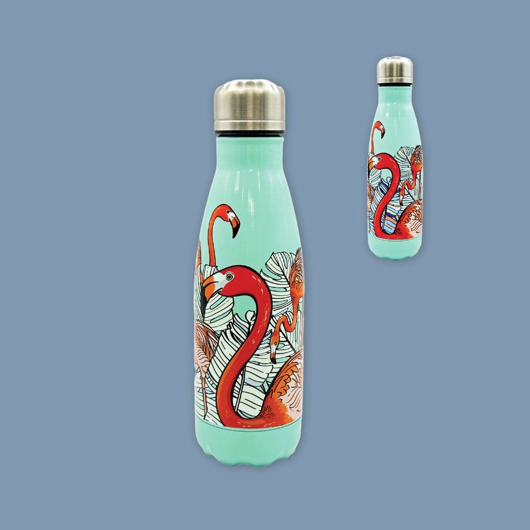 Flamingo Macaw COLOR CHANGING Stainless Steel MANDAI WILDLIFE RESERVE