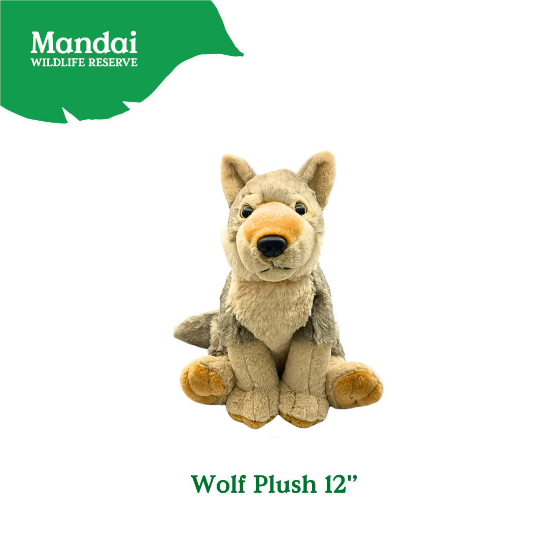 Discover the Wolf Plushie at MANDAI WILDLIFE RESERVE