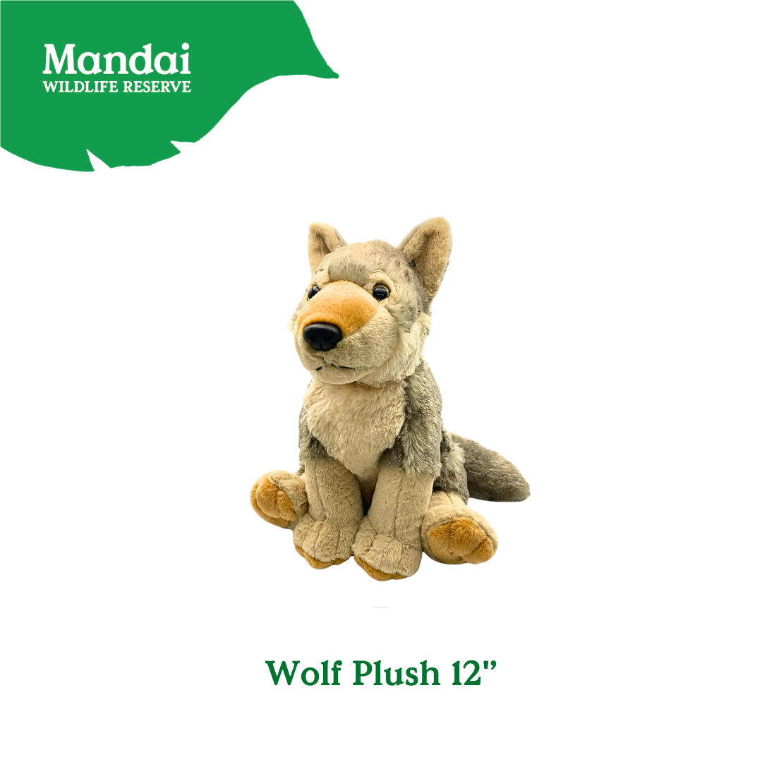 Discover the Wolf Plushie at MANDAI WILDLIFE RESERVE