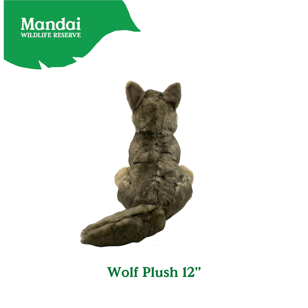 Discover the Wolf Plushie at MANDAI WILDLIFE RESERVE