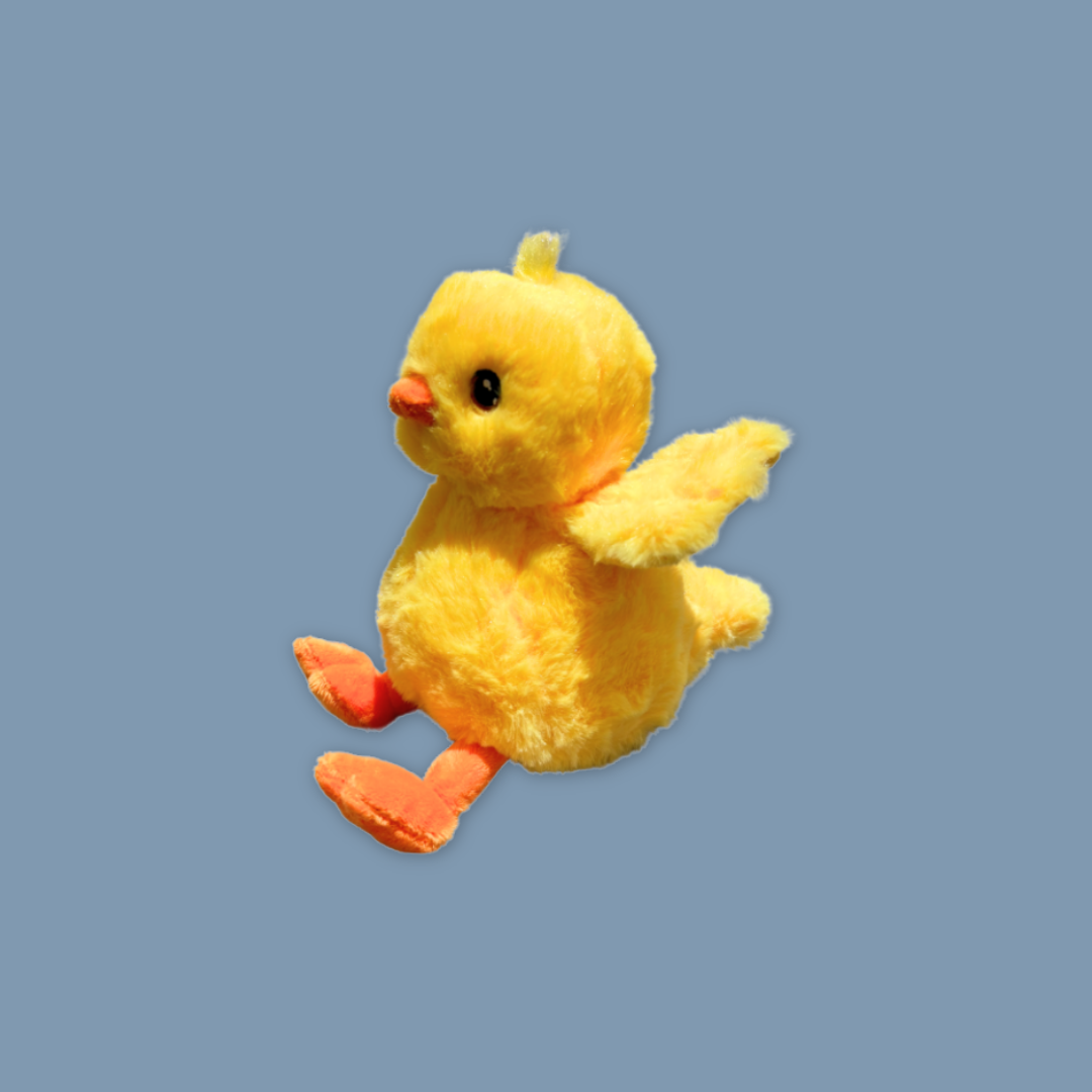 Yellow Duck Chick Explorer Adventure Plush Sleeping Buddy – MANDAI WILDLIFE RESERVE