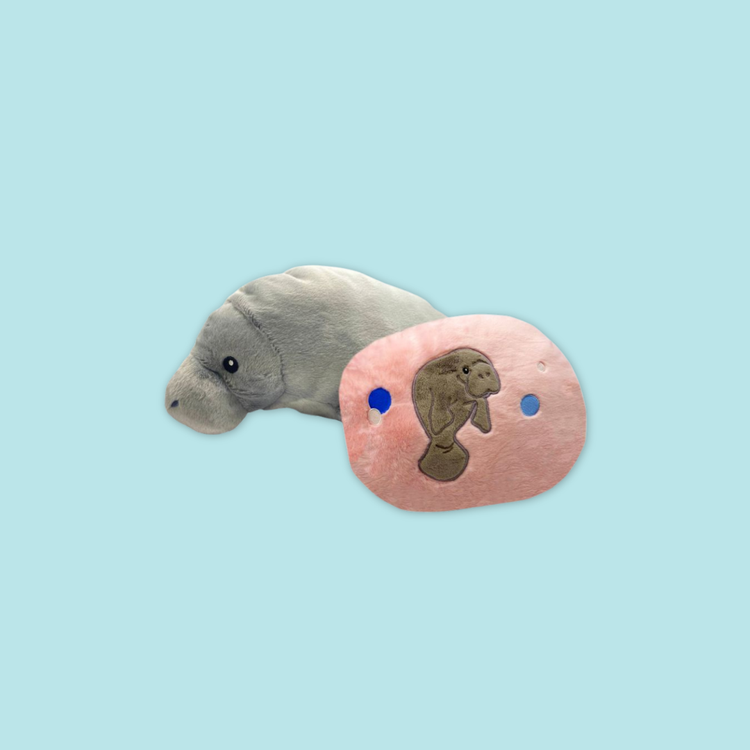 Canola Manatee Keychain Plush Pillow Stuffed with Realistic Details Cute from MANDAI WILDLIFE RESERVE