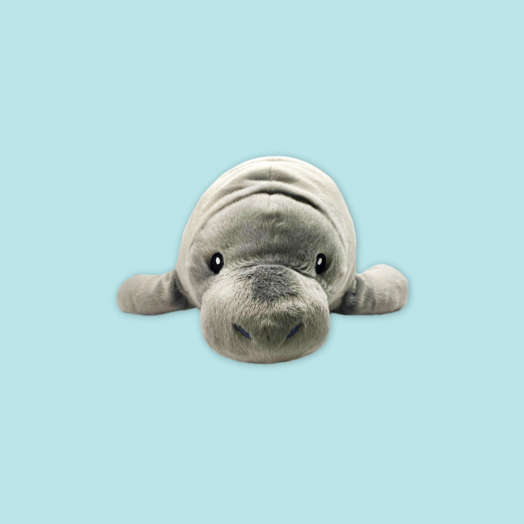 Canola Manatee Keychain Plush Pillow Stuffed with Realistic Details Cute from MANDAI WILDLIFE RESERVE