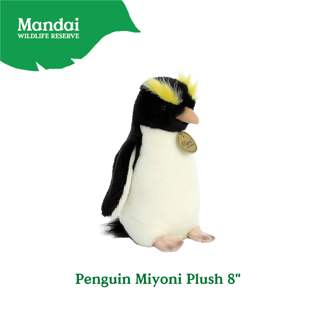Penguins at Bird Paradise: A Glimpse into the World of These Charming Seabirds MANDAI WILDLIFE RESERVE