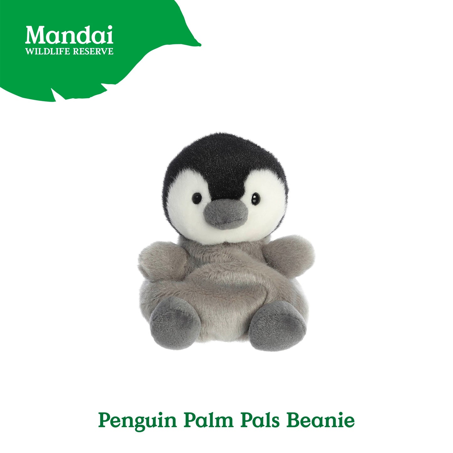 Penguins at Bird Paradise: A Glimpse into the World of These Charming Seabirds MANDAI WILDLIFE RESERVE