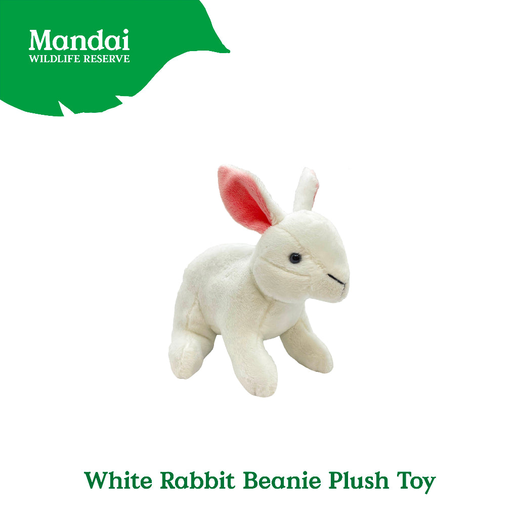 The cute and cuddly Rabbit Beanie Plush Keychain from MANDAI WILDLIFE RESERVE makes a perfect companion and keepsake