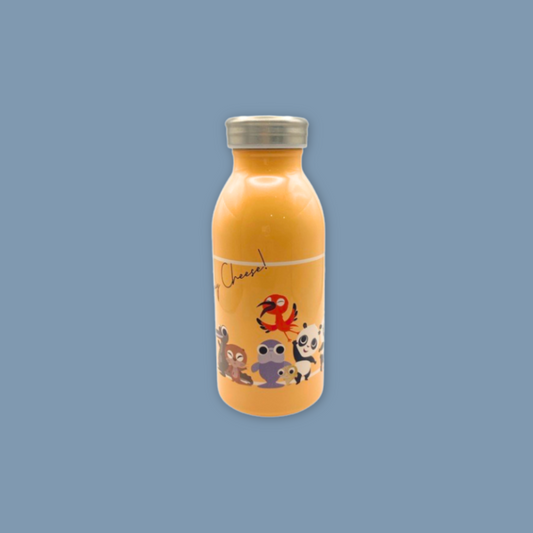 Panda And Friends Stainless Steel Insulated Bottle