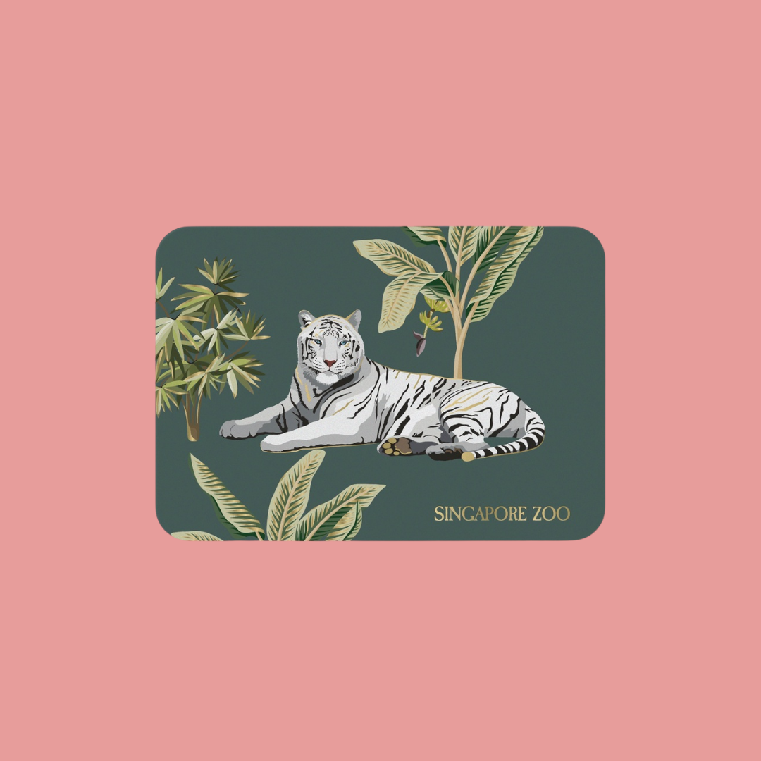 Elephant Placemat Panda White Tiger Animal MANDAI WILDLIFE RESERVE