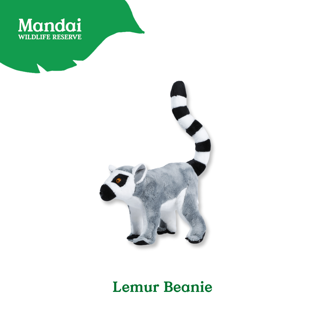 Mandrill Lemur Chimpanzee Velvet Monkey Plush Beanies Exclusive Collection from MANDAI WILDLIFE RESERVE