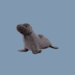 Sea Lion Beanie Plush