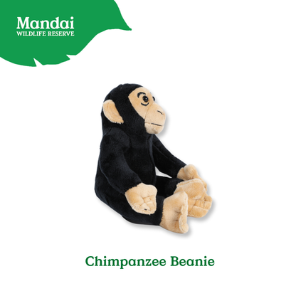 Mandrill Lemur Chimpanzee Velvet Monkey Plush Beanies Exclusive Collection from MANDAI WILDLIFE RESERVE