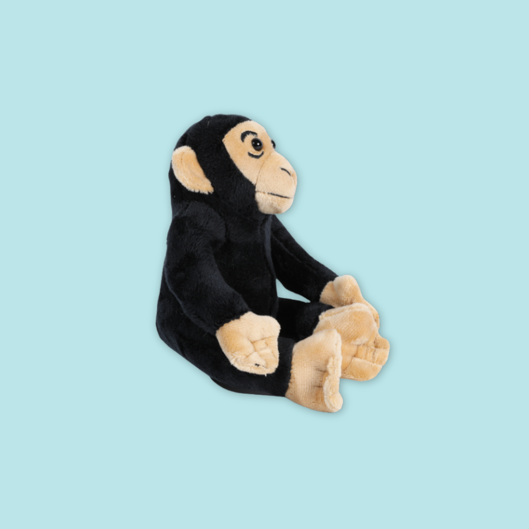 Chimpanzee Beanie Plush
