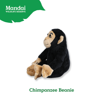 Mandrill Lemur Chimpanzee Velvet Monkey Plush Beanies Exclusive Collection from MANDAI WILDLIFE RESERVE