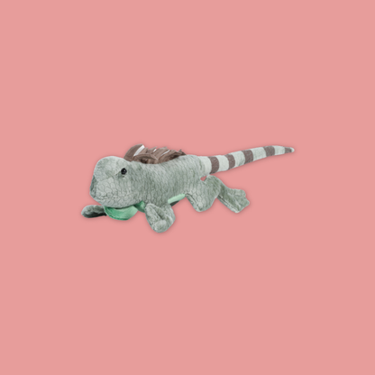Discover Iguana Salamander at MANDAI WILDLIFE RESERVE