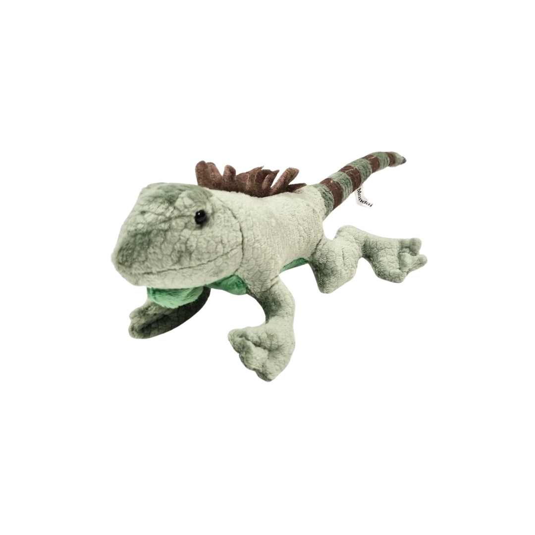 Iguana Beanie Plush 8"