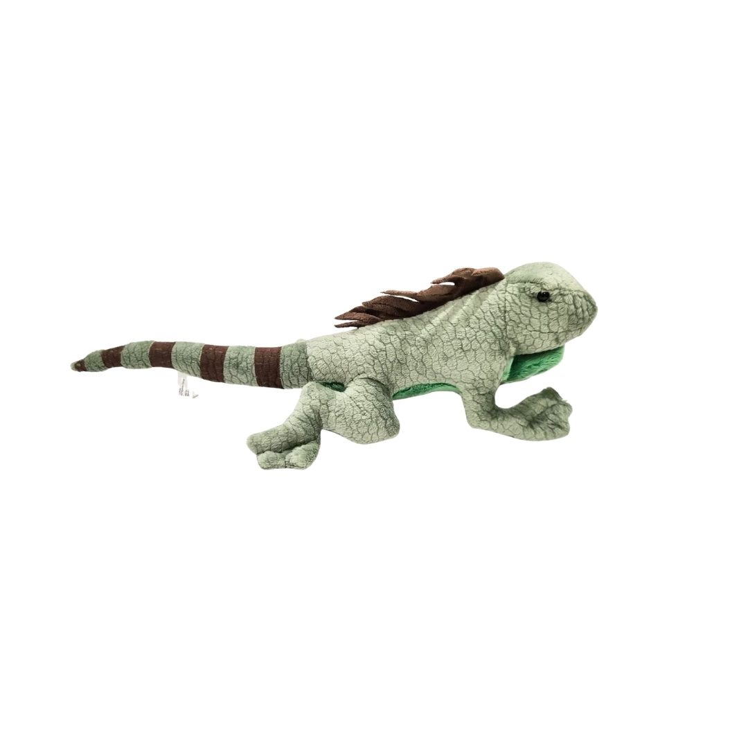 Iguana Beanie Plush 8"