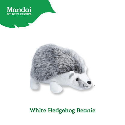 Hedgehogs Anteater Guinea Pig Beanies Adorably Crafted Exclusive MANDAI WILDLIFE RESERVE