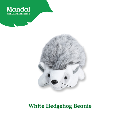 Hedgehogs Anteater Guinea Pig Beanies Adorably Crafted Exclusive MANDAI WILDLIFE RESERVE