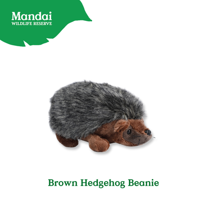 Hedgehogs Anteater Guinea Pig Beanies Adorably Crafted Exclusive MANDAI WILDLIFE RESERVE