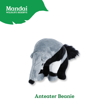 Anteater Tortoise Beanie Plush Exclusive MANDAI WILDLIFE RESERVE