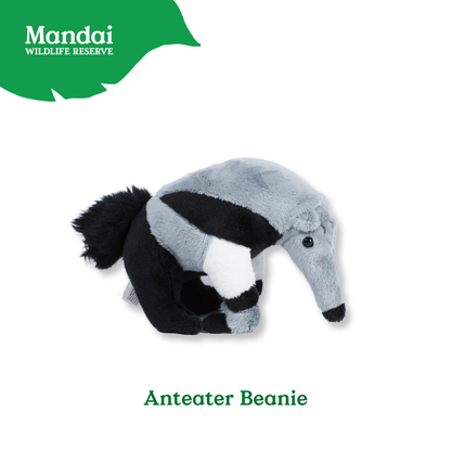 Anteater Tortoise Beanie Plush Exclusive MANDAI WILDLIFE RESERVE