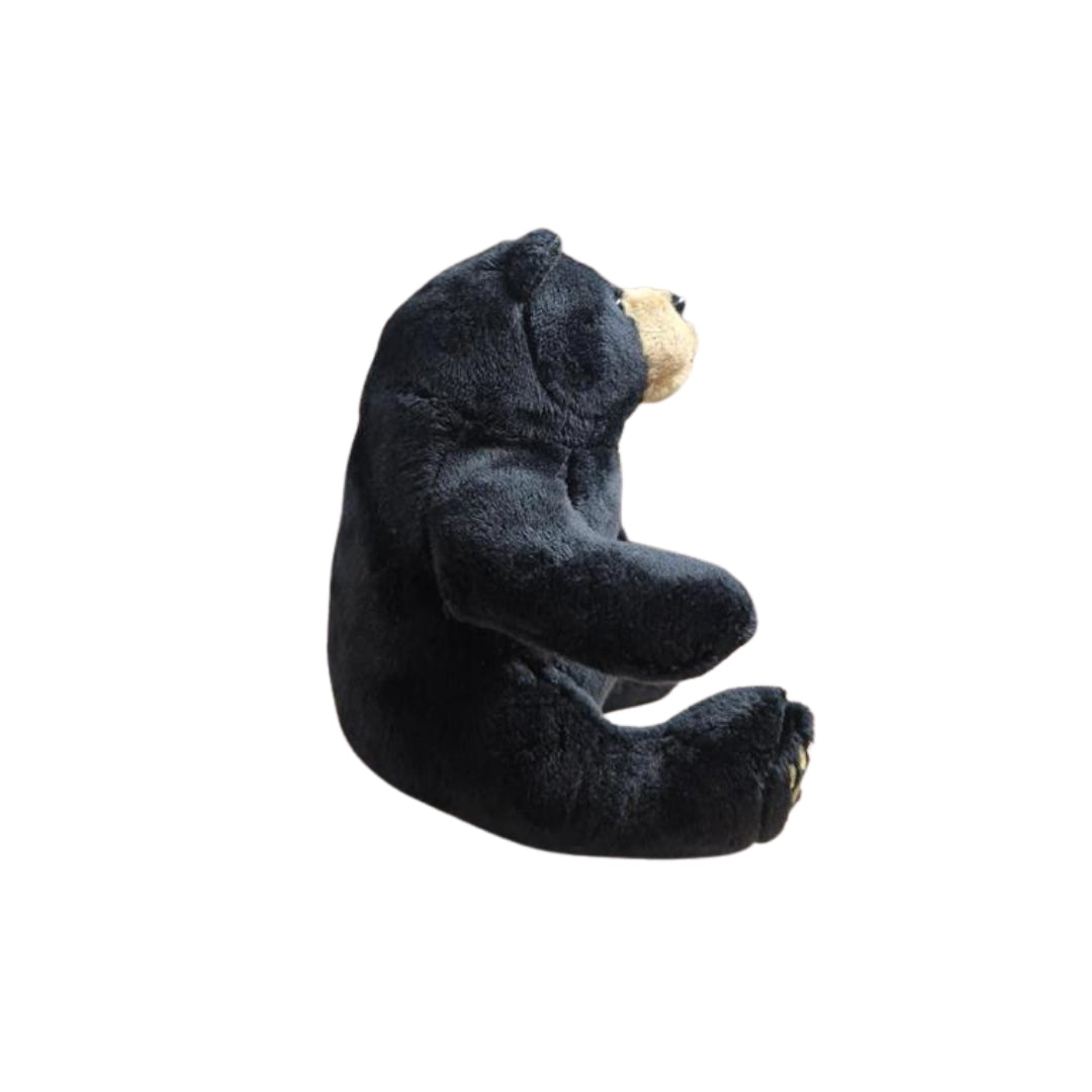 Black Bear Beanie Plush