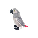 Grey Parrot Beanie Plush 8"