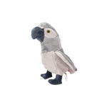Grey Parrot Beanie Plush 8"