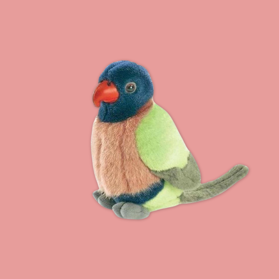 Rainbow Lorikeet Plush 6"