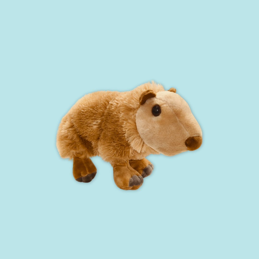 Cappybara Plush 12"