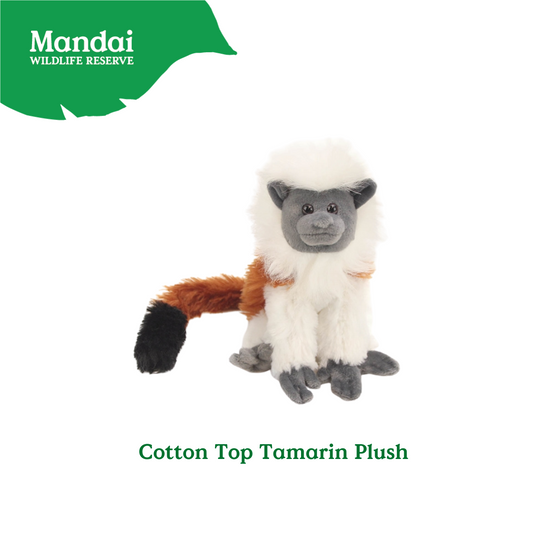 Discover Monkey Families Plushie  at MANDAI WILDLIFE RESERVE