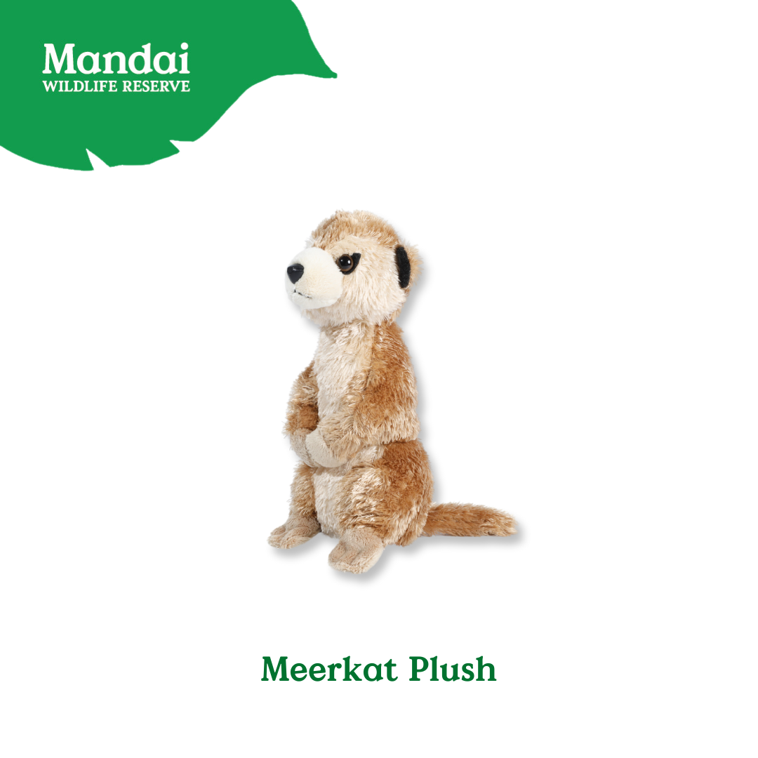 Meerkat Plush Exclusive to Mandai Wildlife Reserve